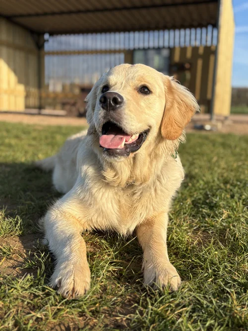 Kipper, Lab Technician