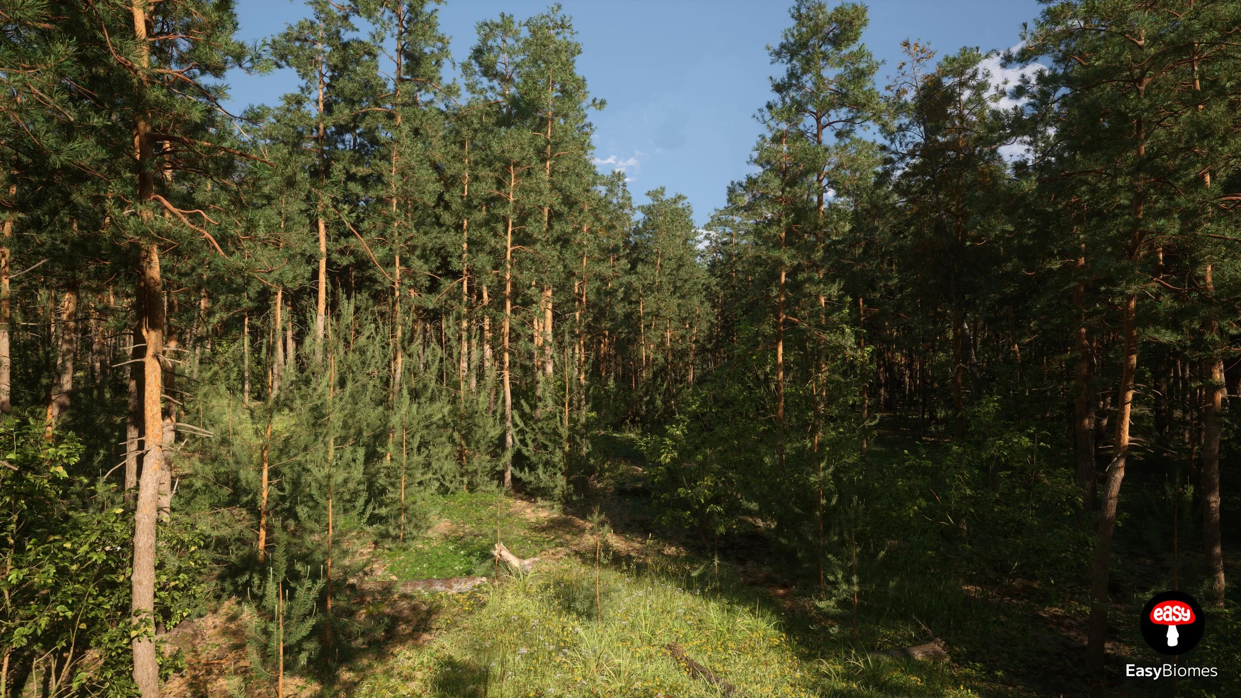 Realistic conifer forest lighting in pine biome – procedural UE5 environment