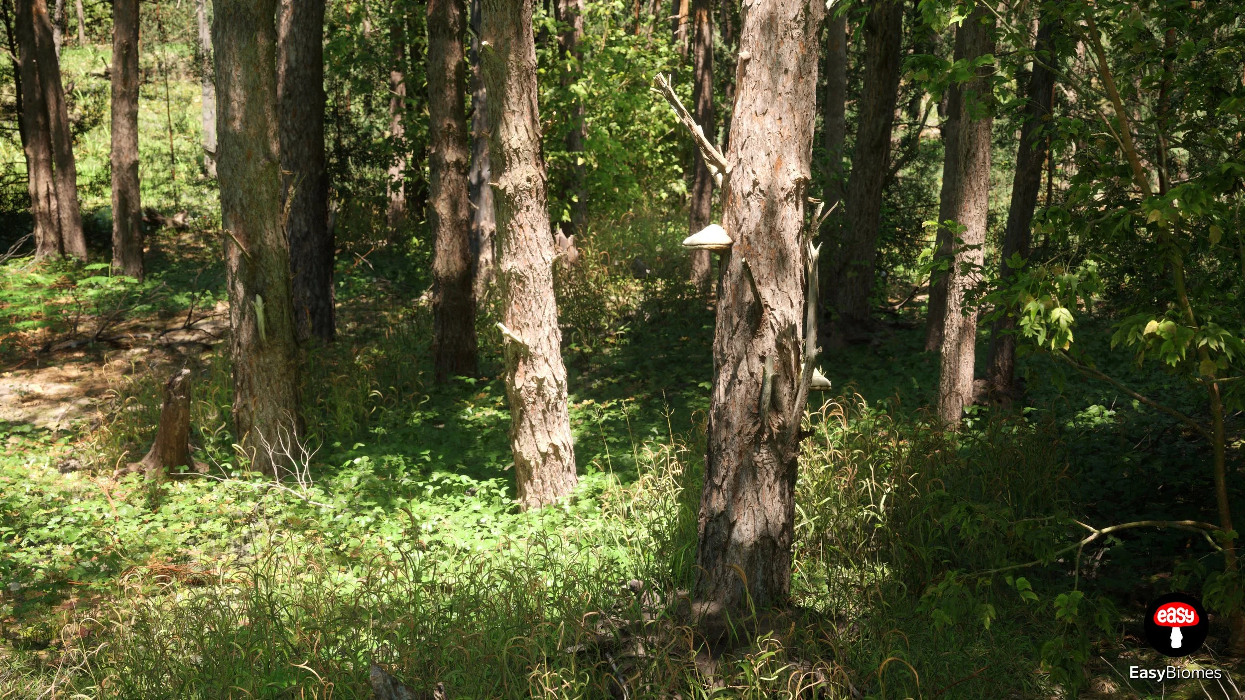 Real pine forest biome with tall conifer trees – Unreal Engine 5 PCG environment