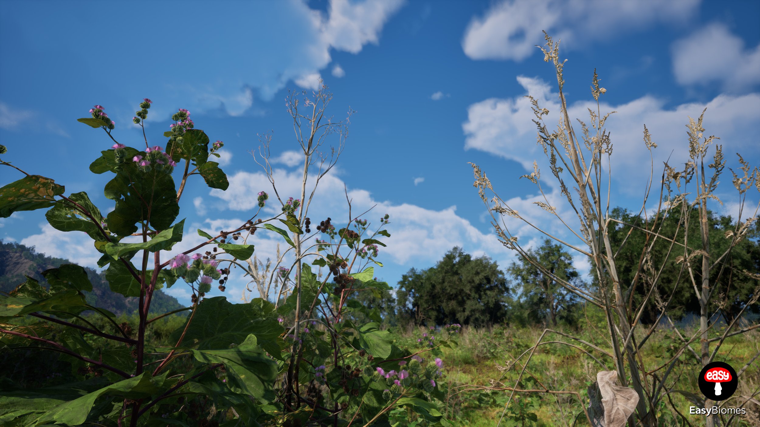 Forest Strip – Unreal Engine 5 PCG spline forest tool
