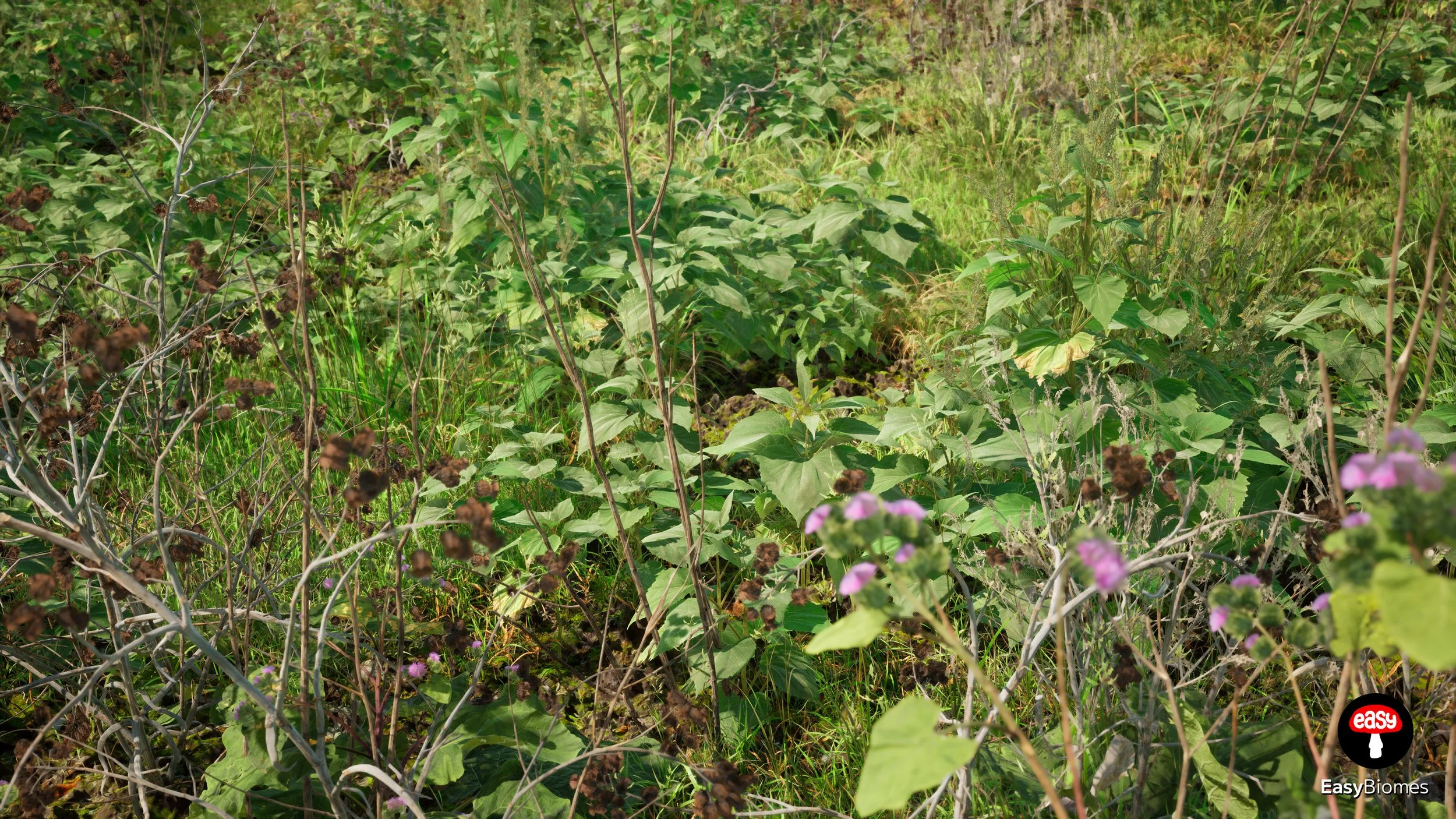 Wide forest belt with natural edges
