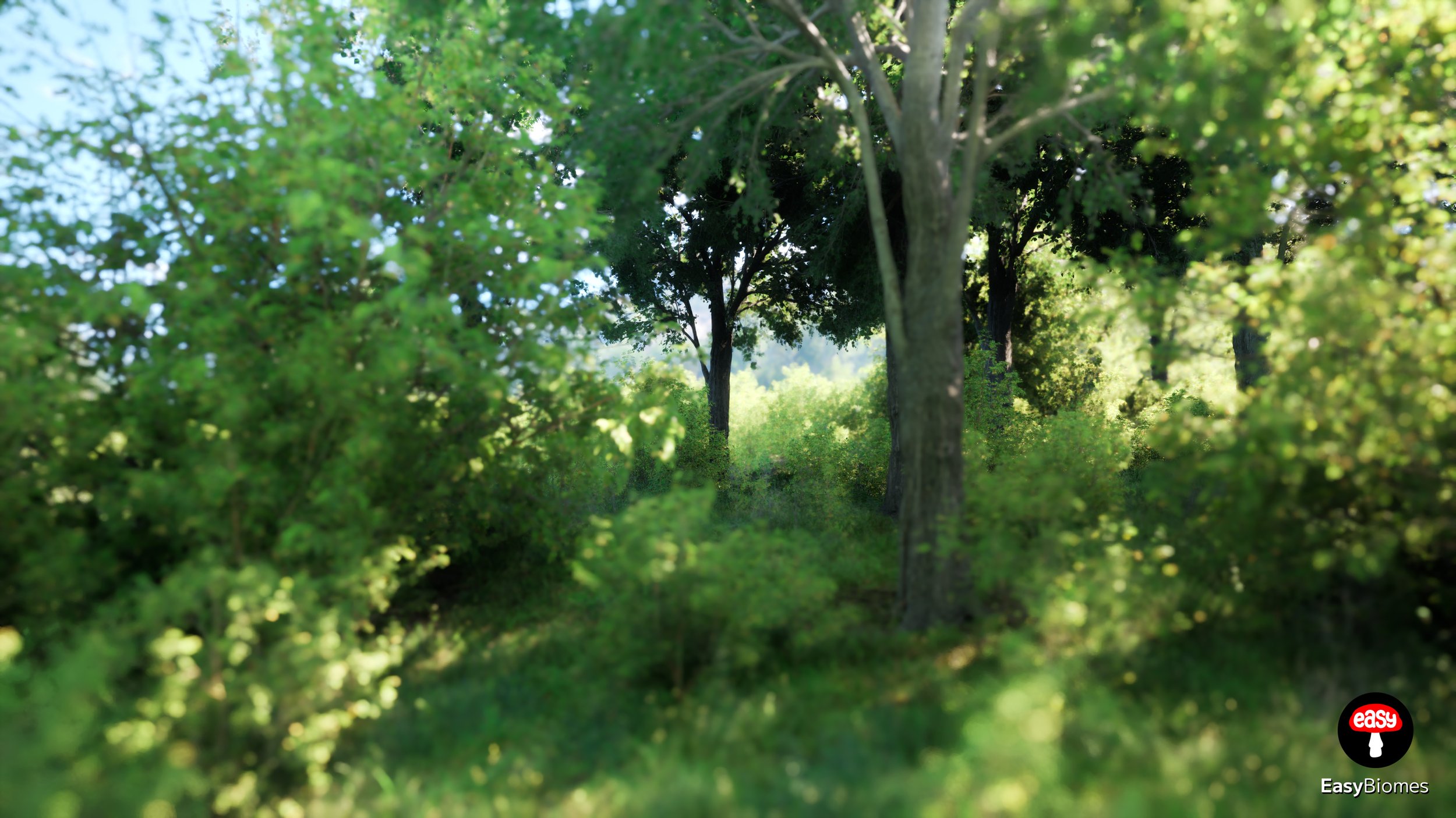 Forest Strip for parks and borders
