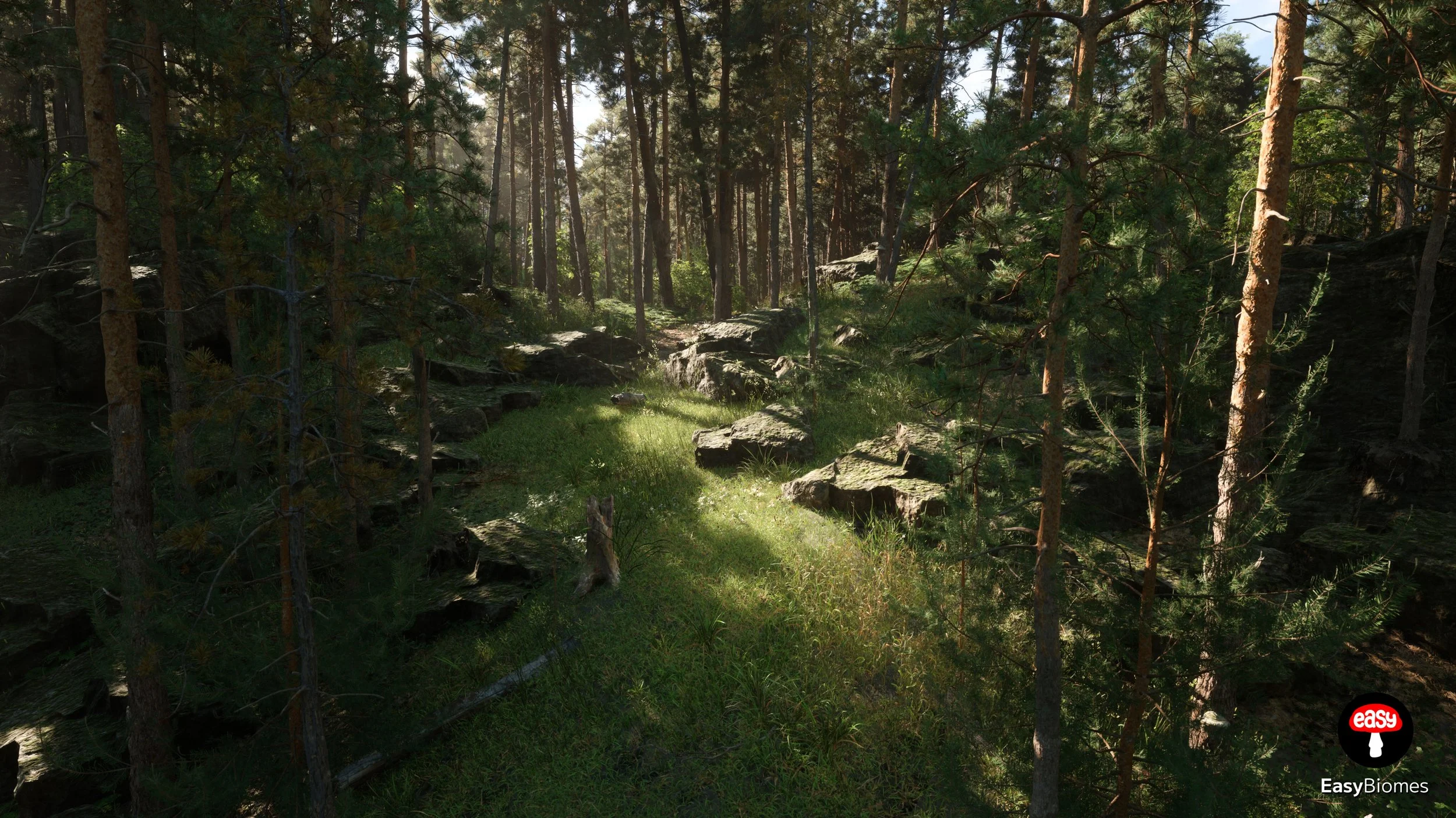 Realistic conifer forest environment with natural variation – UE5
