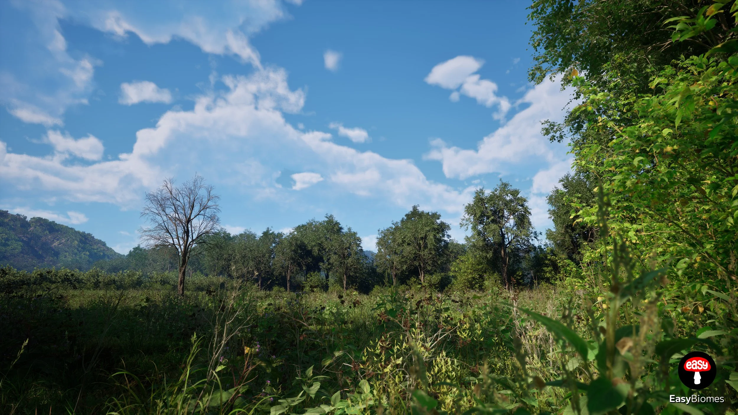 Forest strip blending into landscape