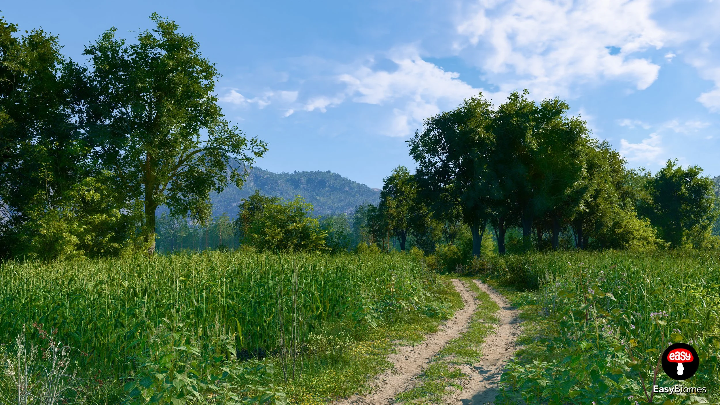 Rural track winding between fields and trees