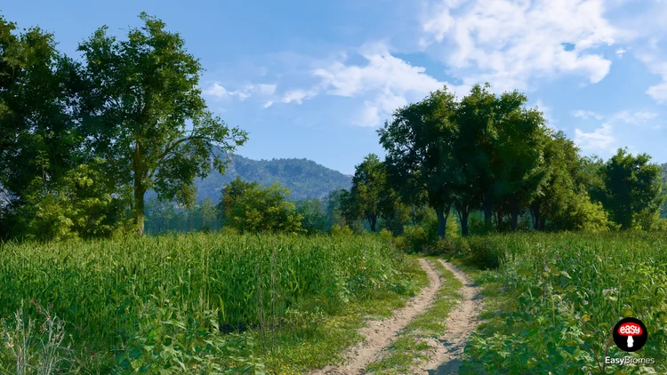 Rural track winding between fields and trees