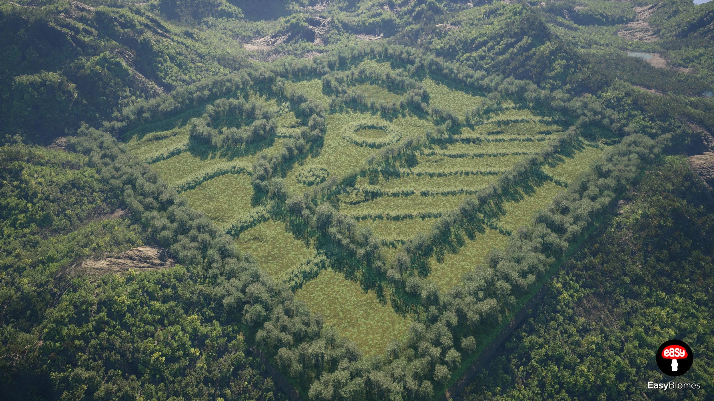 Tree shelterbelts dividing fields