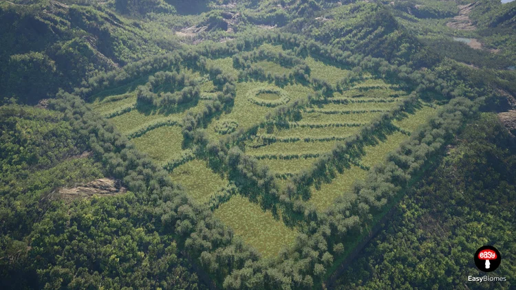 Tree shelterbelts dividing fields