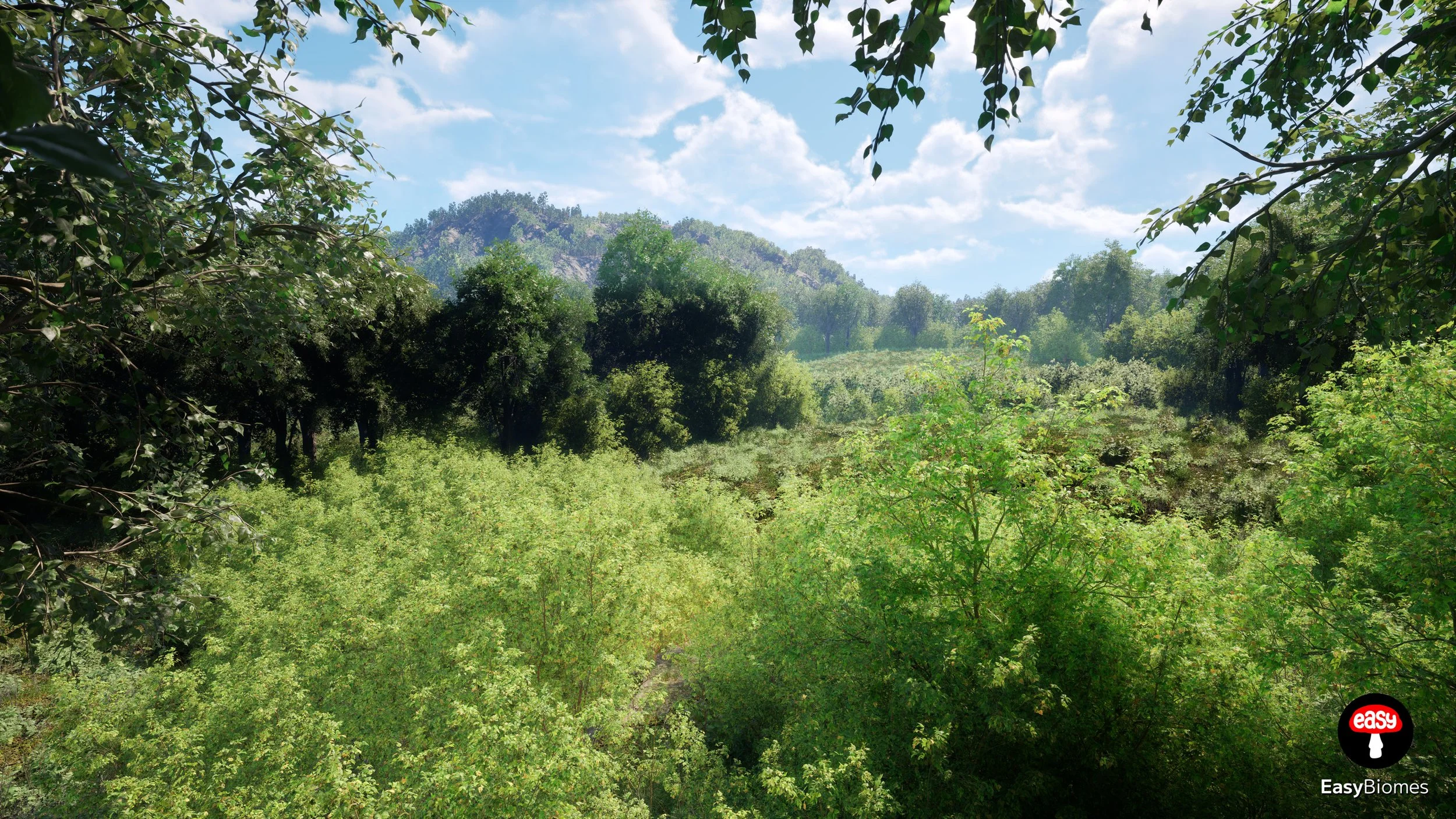 Tree line separating farmland fields