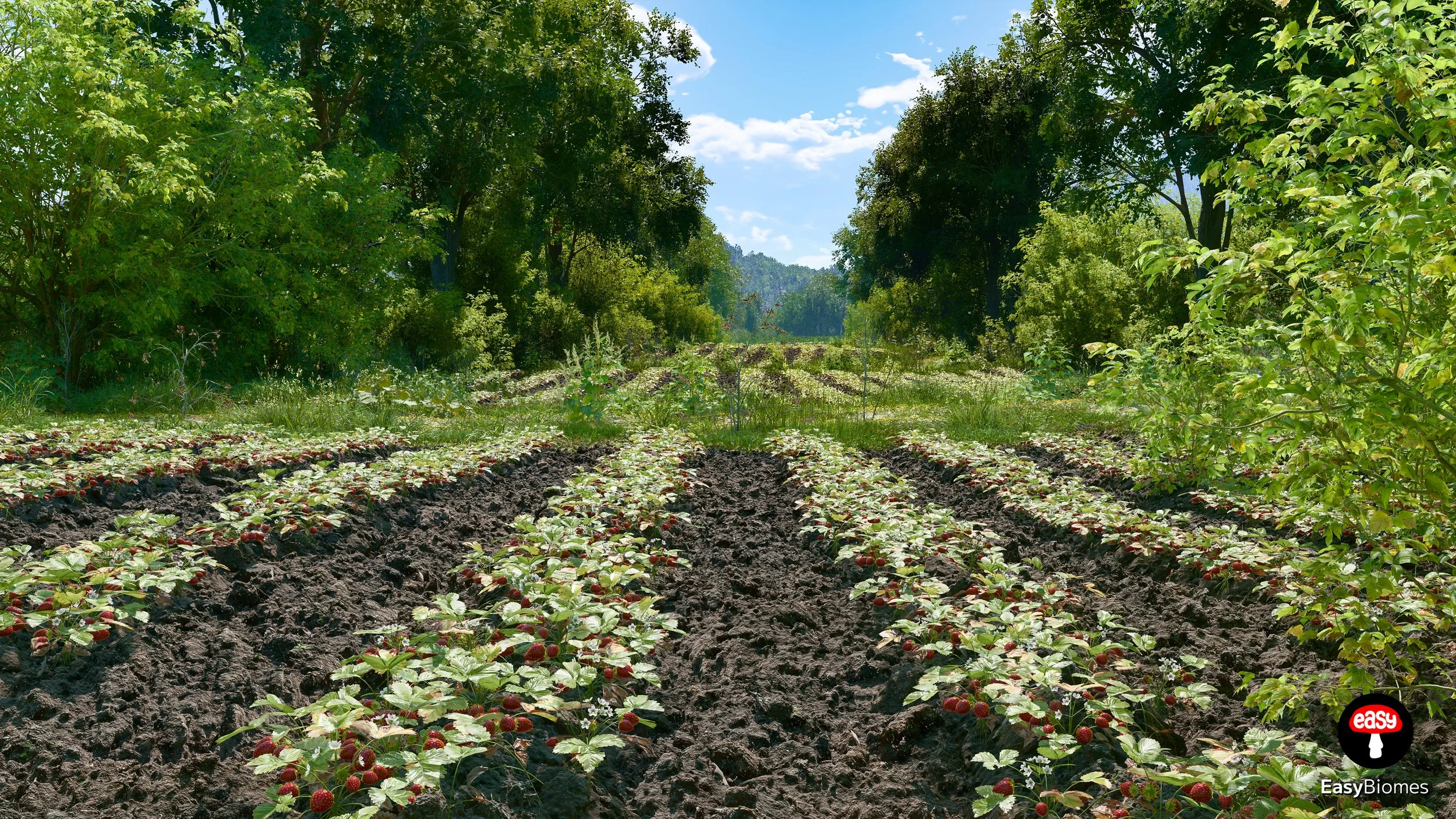 Planted crop rows bordered by trees