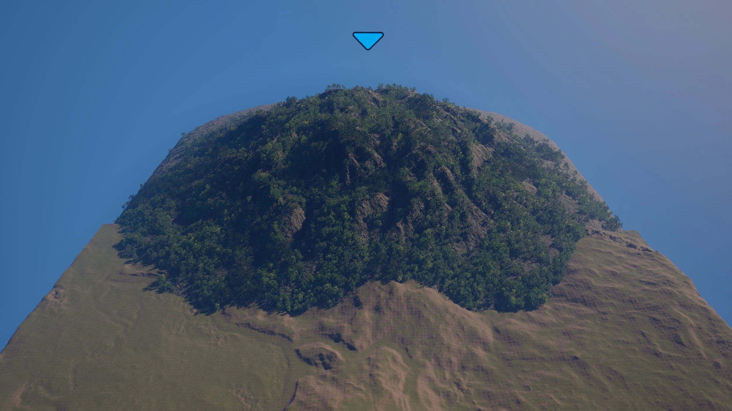 Unreal Engine 5 BDistant Biome