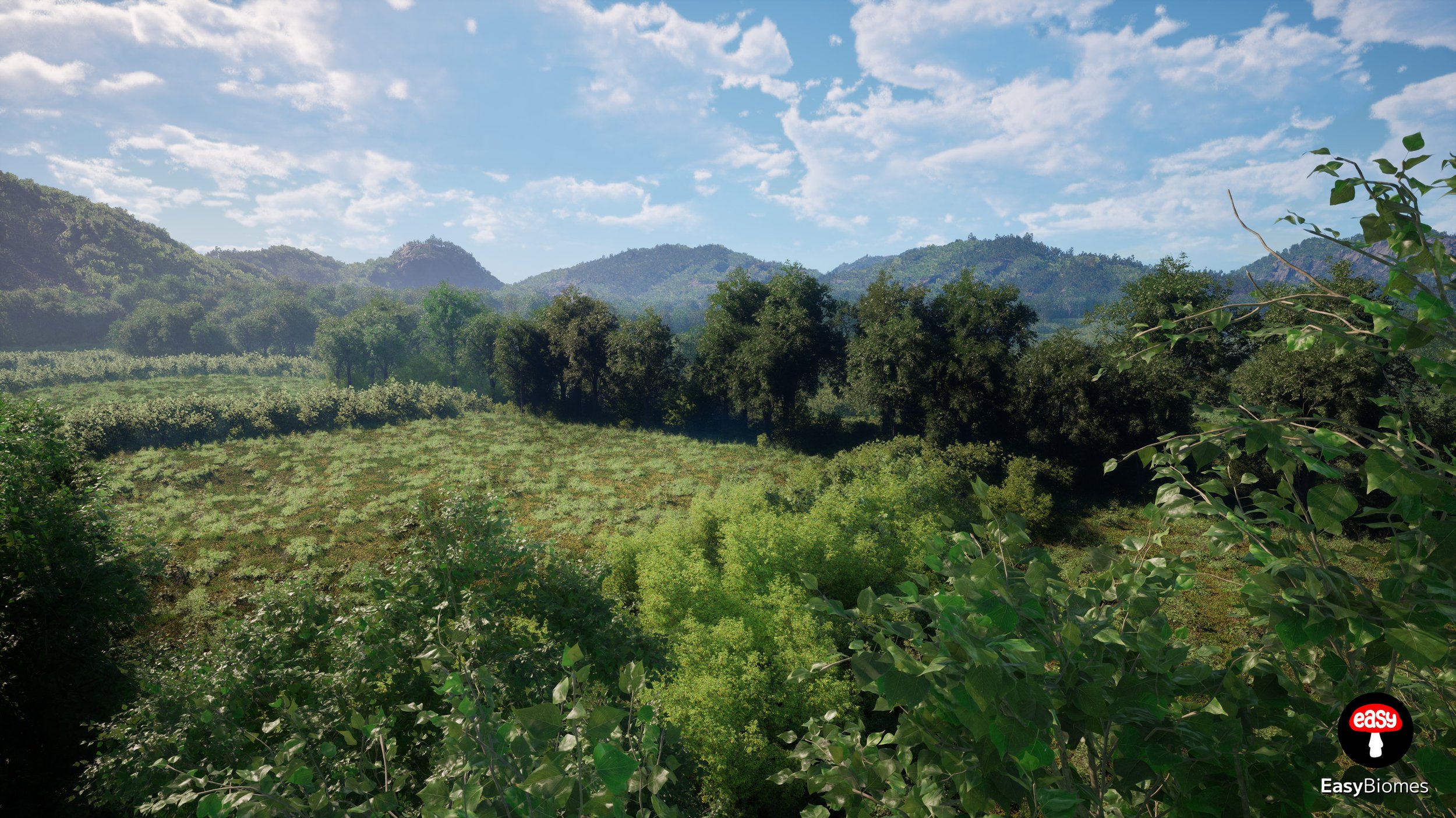 Close-up foliage variation in forest strip