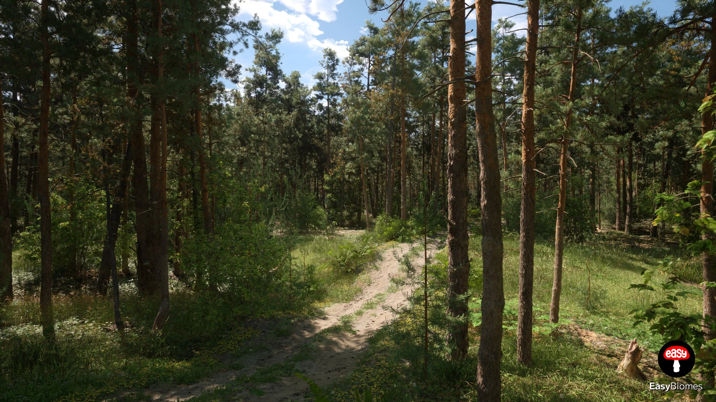 Pine forest environment