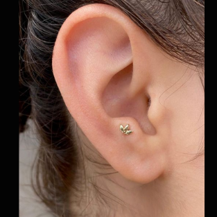 Anti Tragus Piercing