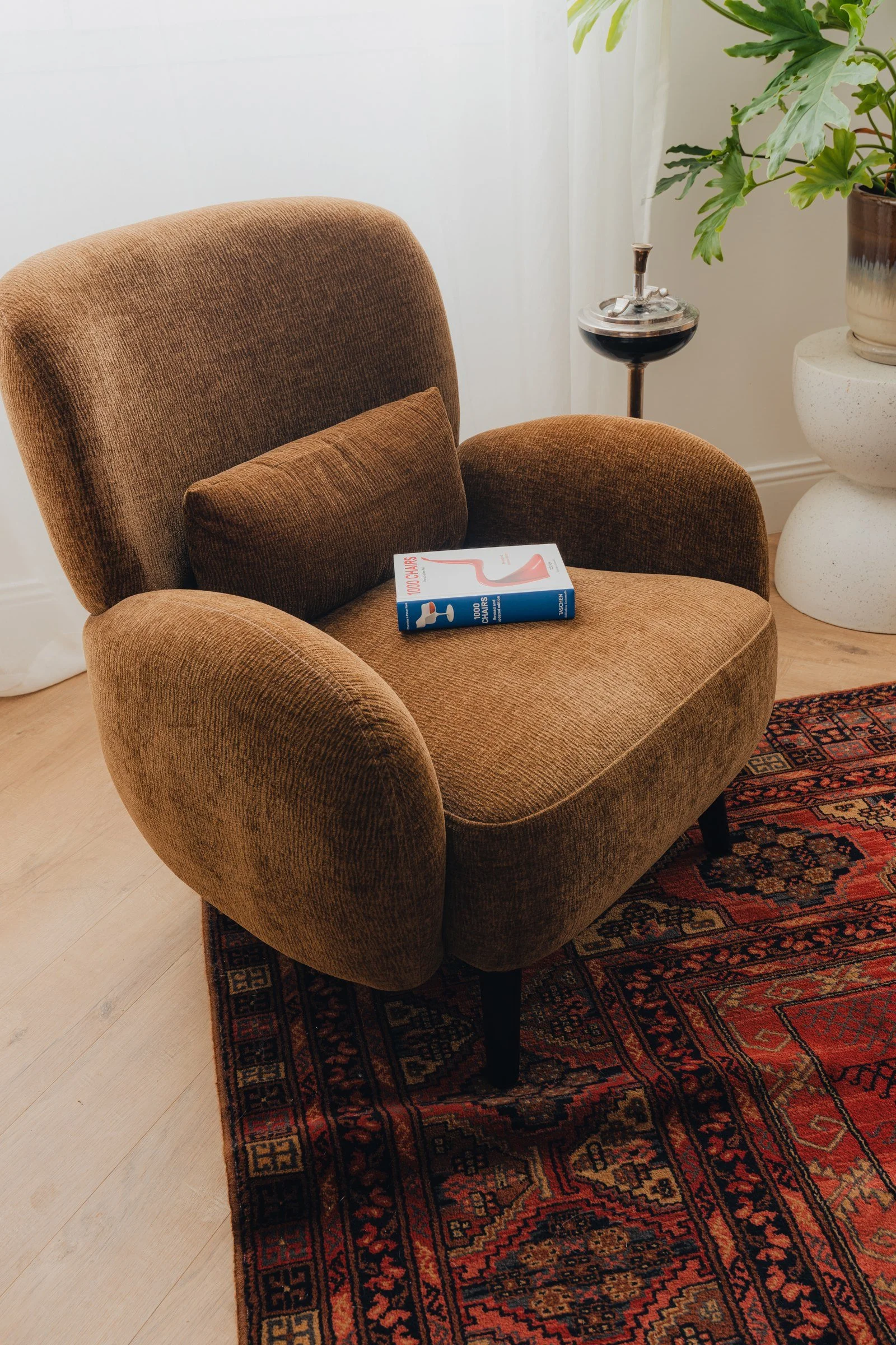 Bayard, fauteuil brun et tapis