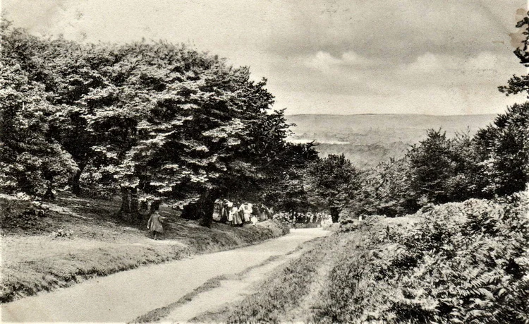 Claypit Hill, Epping Forest, 1905
