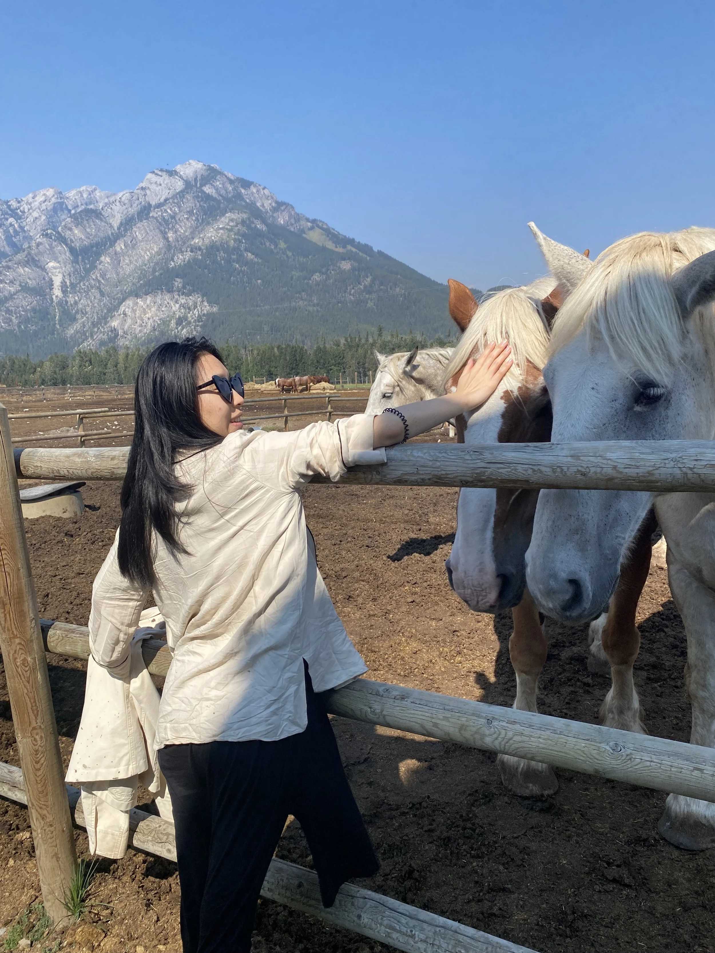 Equine Gestalt Coaching for non-verbal integration and insight