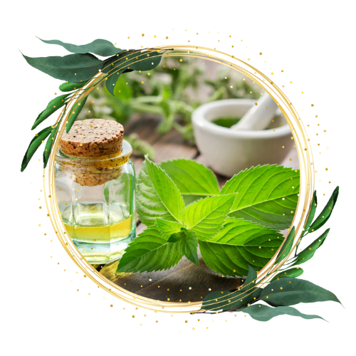 Peppermint - cooling clarity