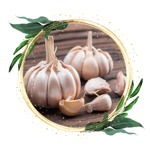 Garlic - the protector of vitality