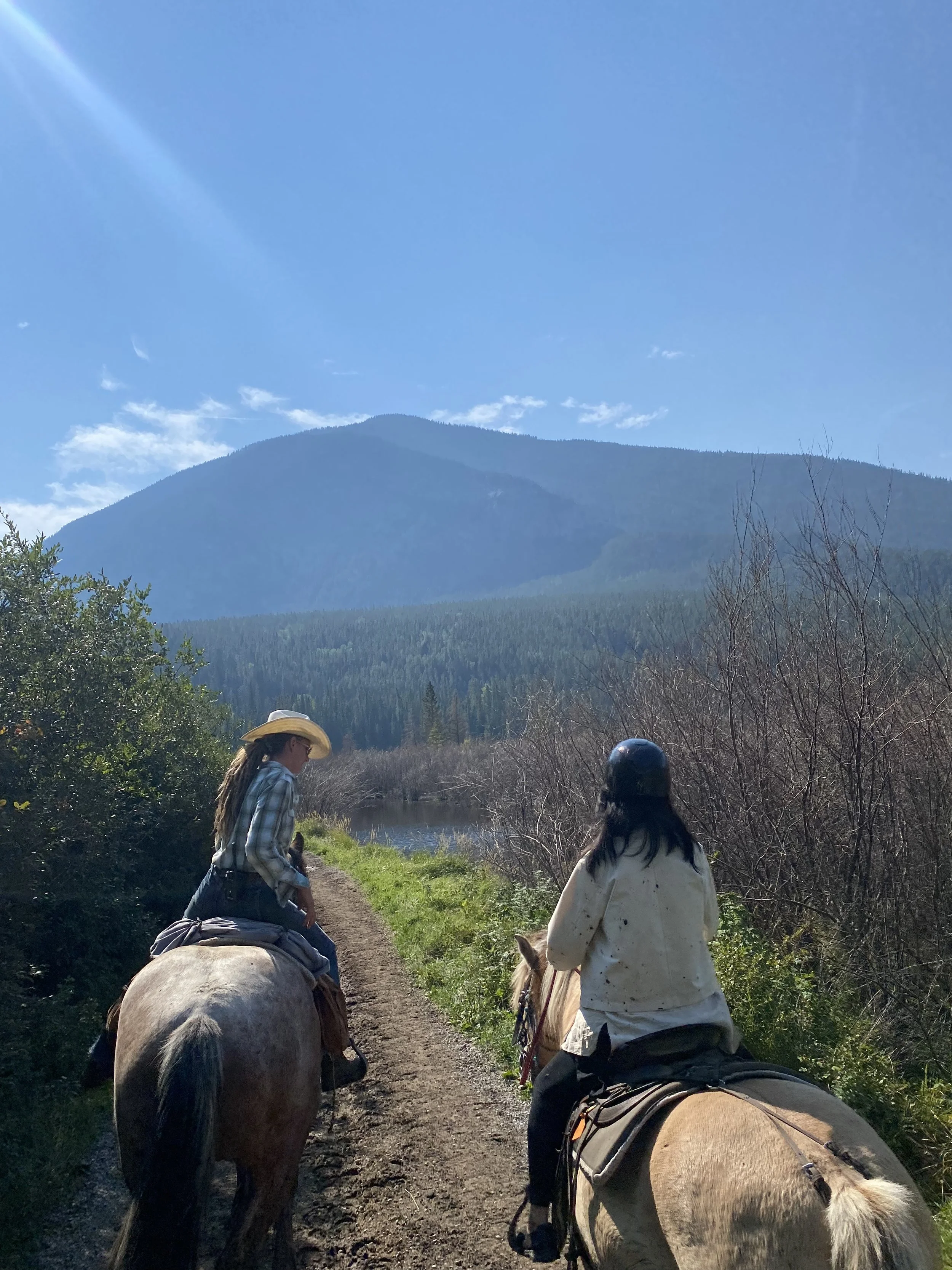 Men's spiritual healing dialogue and brotherhood connection