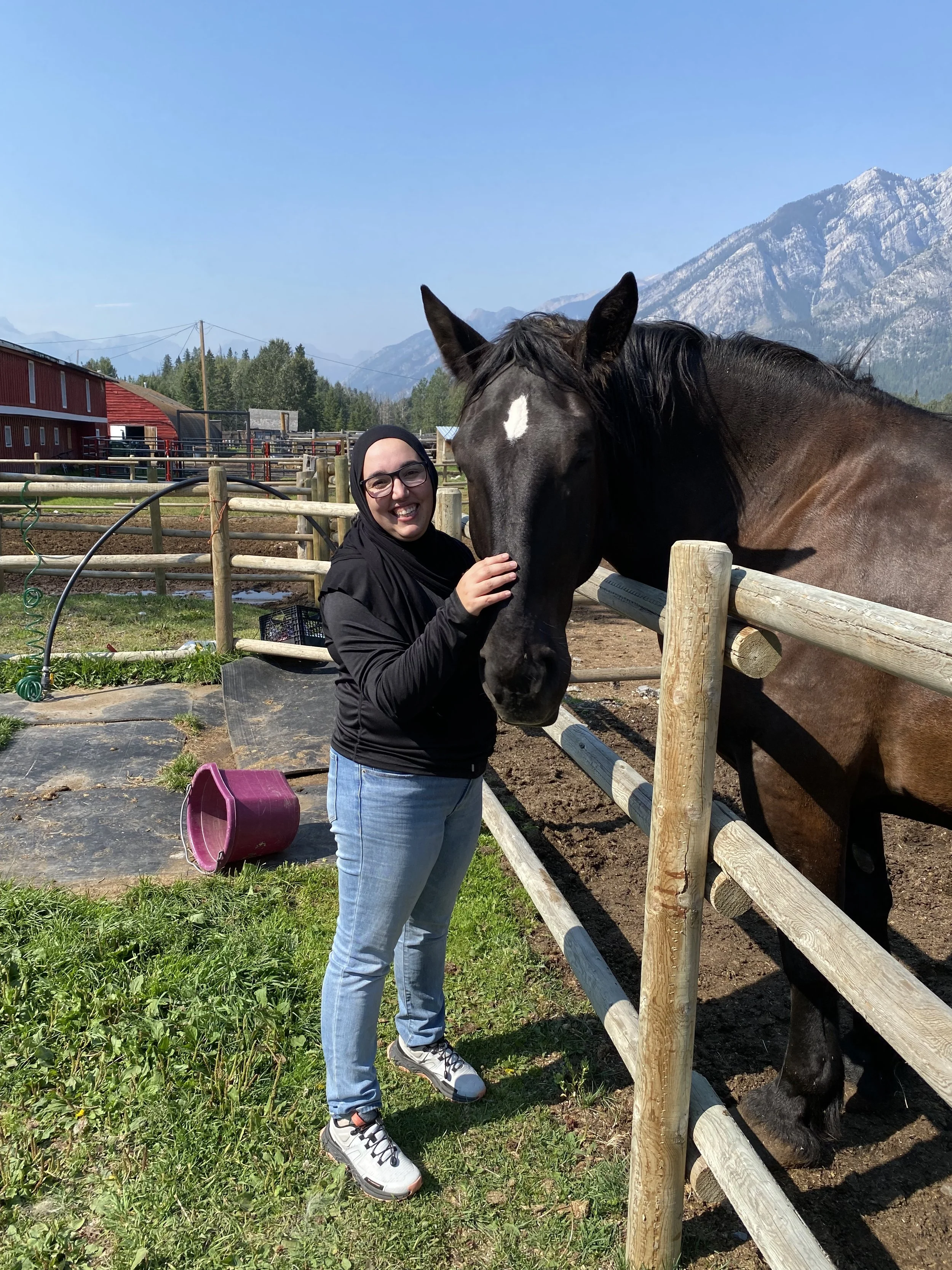 Equine Gestalt Coaching for non-verbal emotional processing