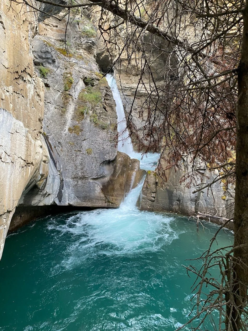 Nature immersion at Calgary spiritual retreat