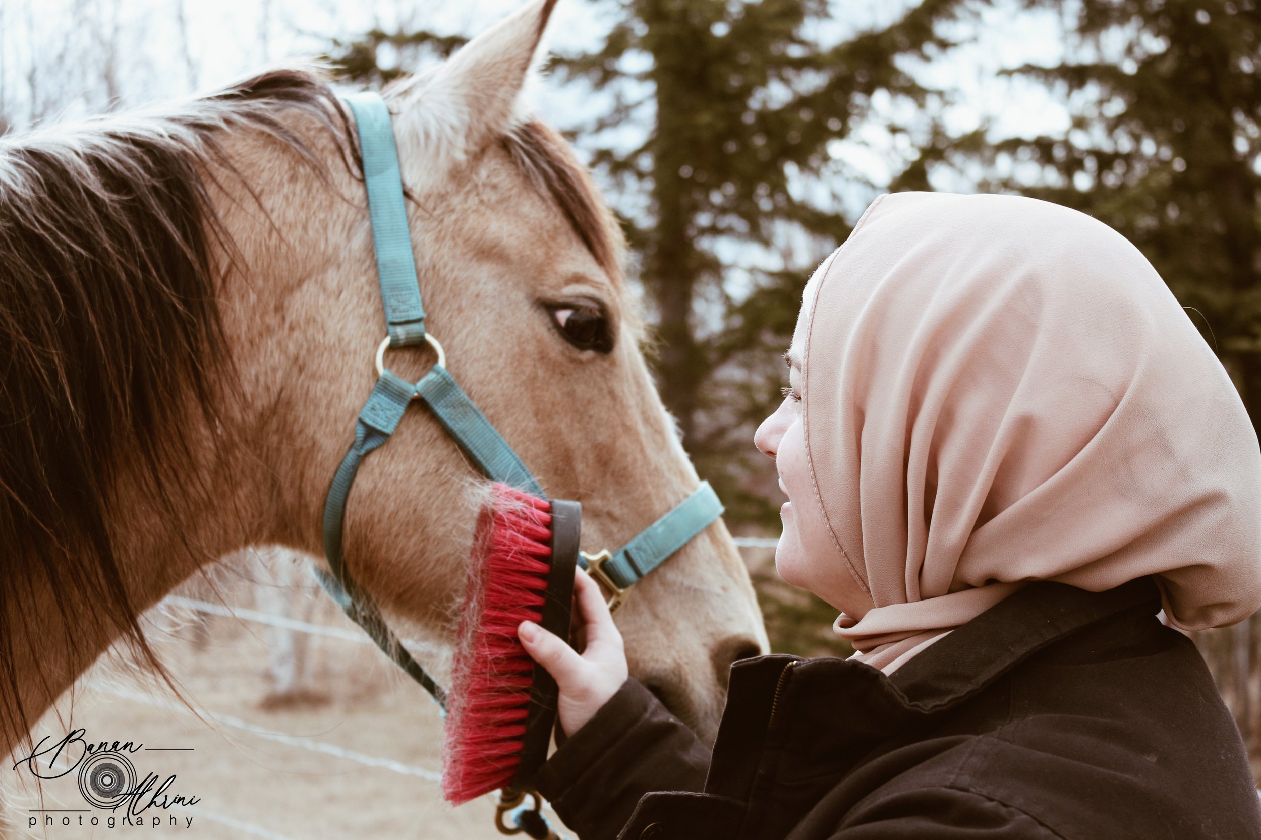 Equine Gestalt Coaching for non-verbal insight into compassion and boundaries