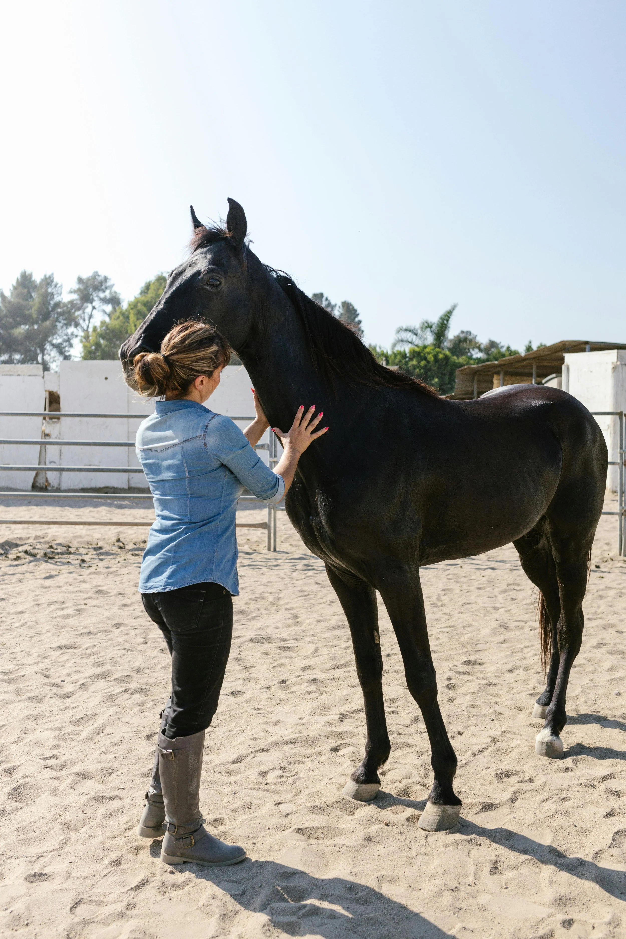 Equine Gestalt Coaching for non verbal feedback on discipline and presence