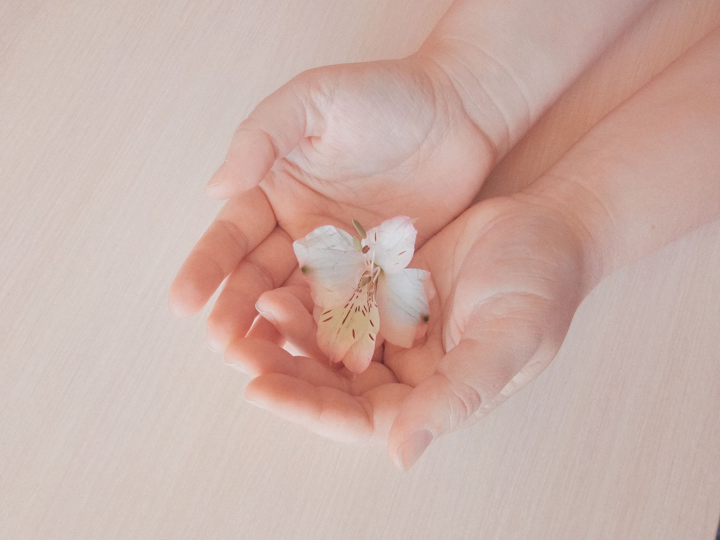 Open hands in soft morning light, representing the safety to receive healing after spiritual harm