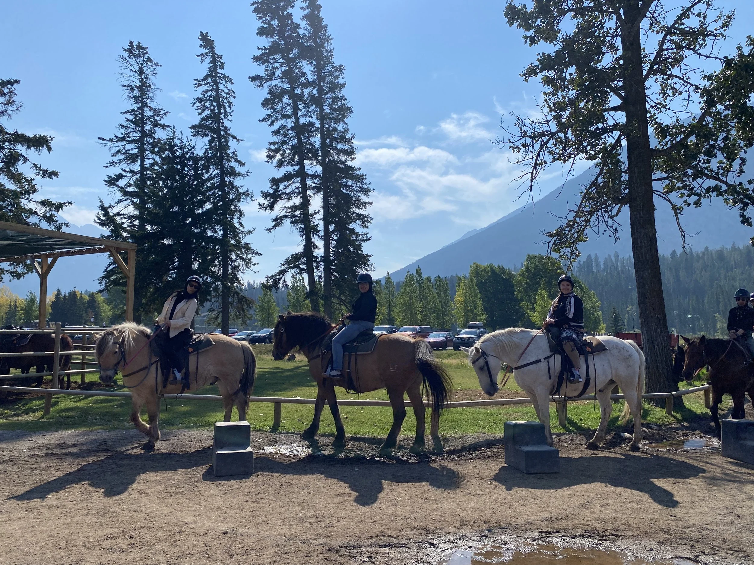 Prophetic medicine and herbal wisdom at men's retreat