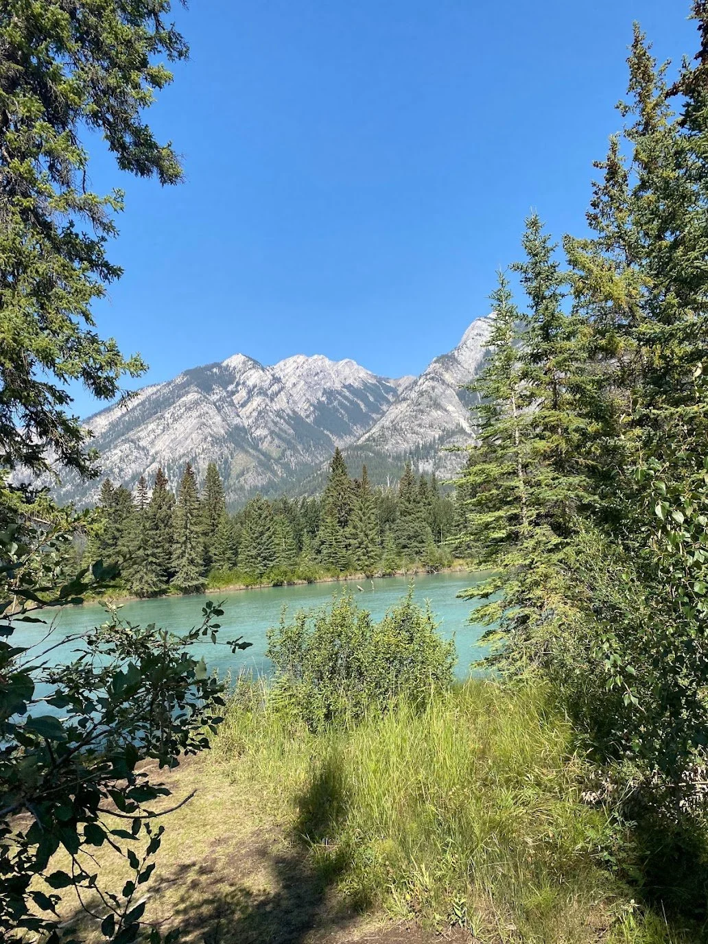 Johnston canyon hike at Islamic men's retreat Alberta