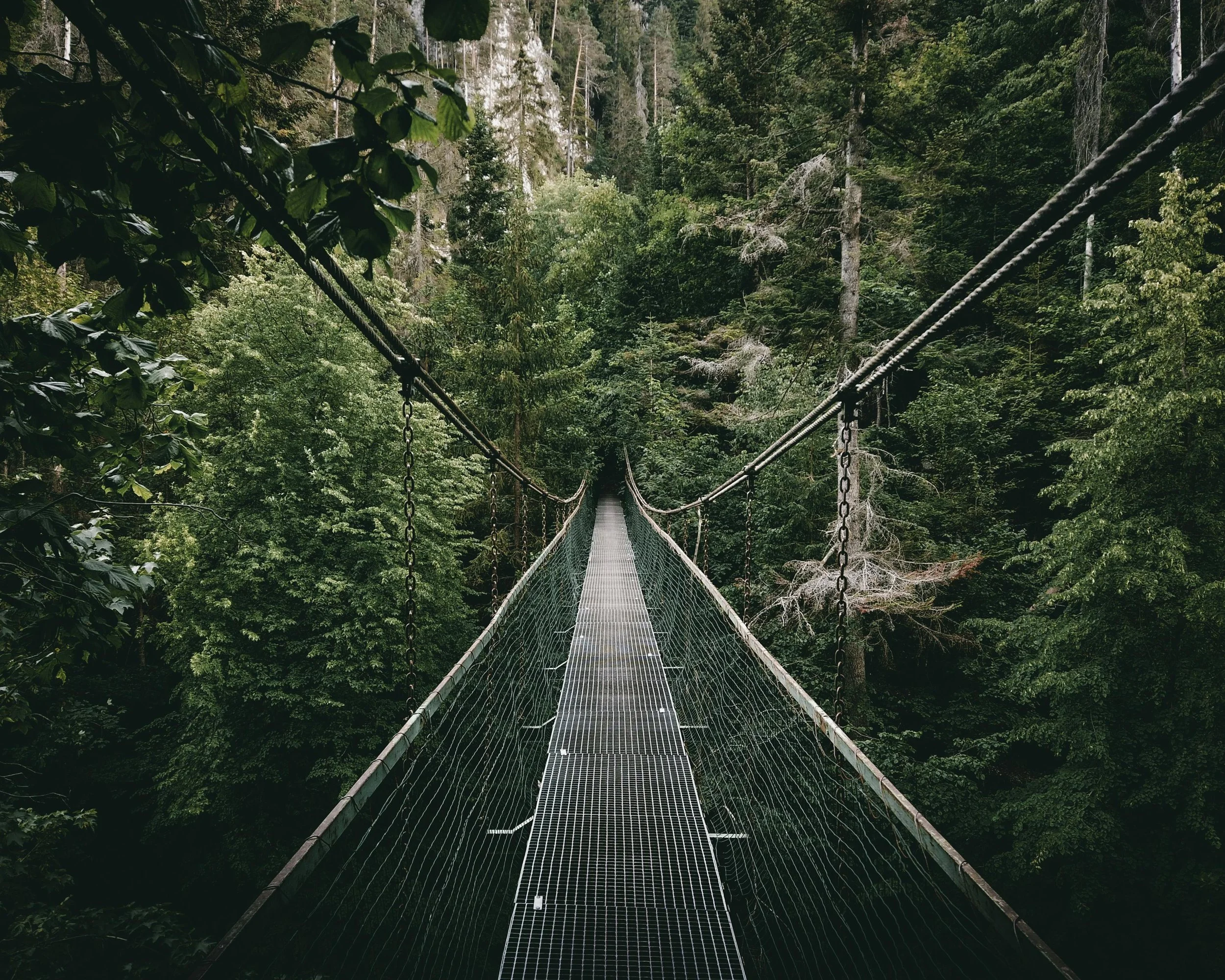 The Bridge of Unity — free Sufi teaching series on divine love