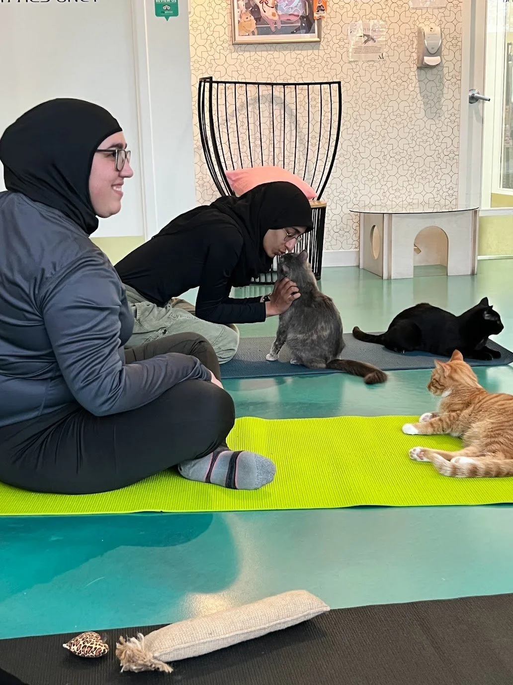 Banff mountain views at Alberta spiritual retreat
