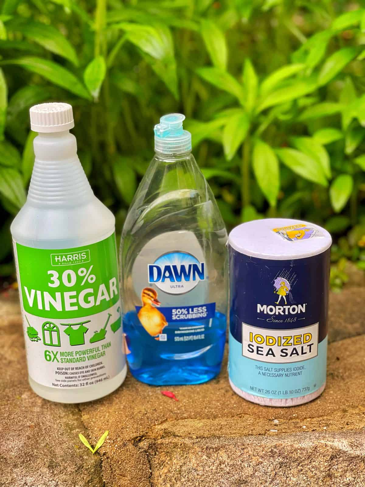 White vinegar, salt, and dish soap