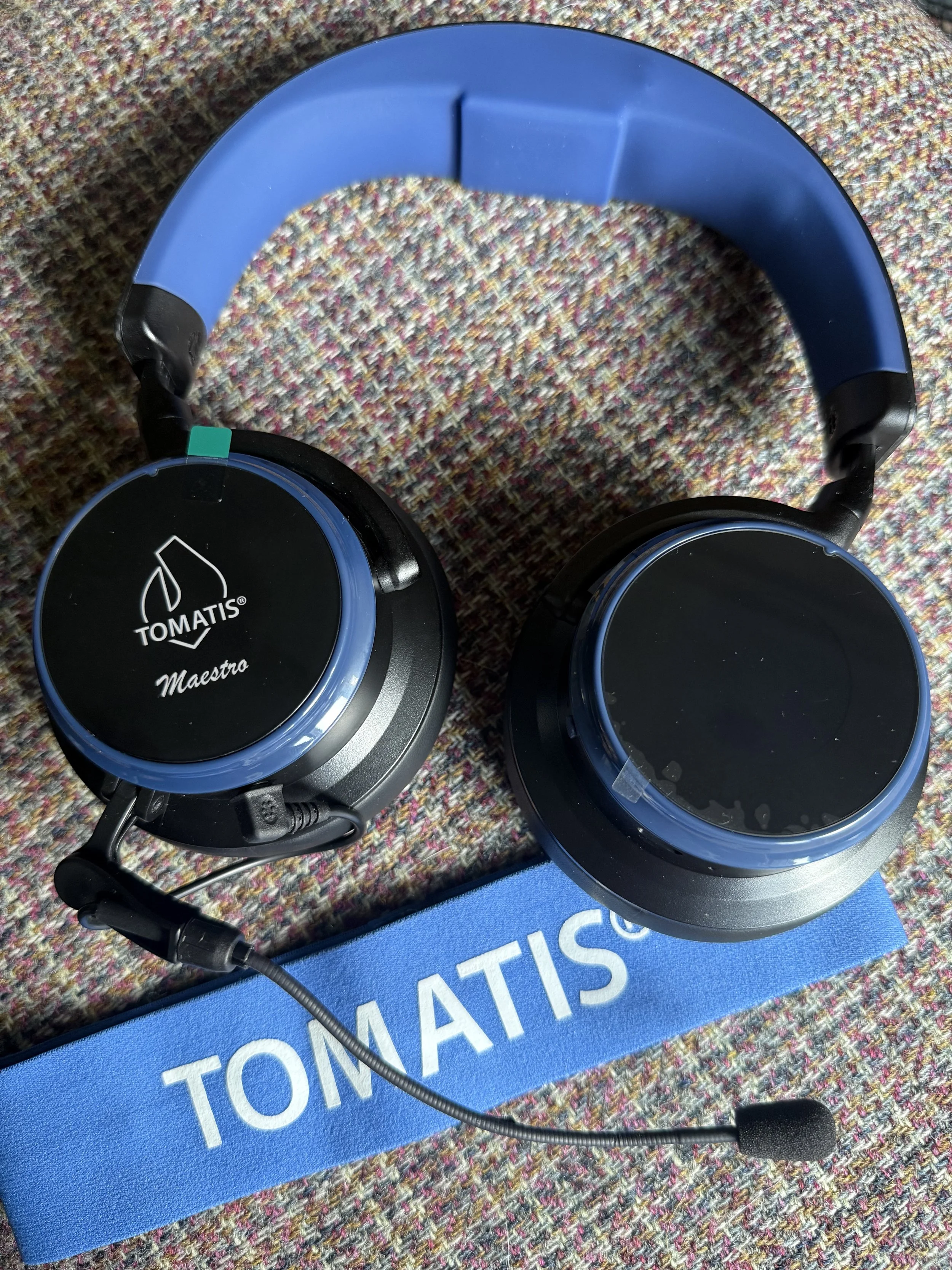 Tomatis Listening Test assessment at Think Thrive