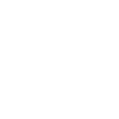 Enlarge Icon