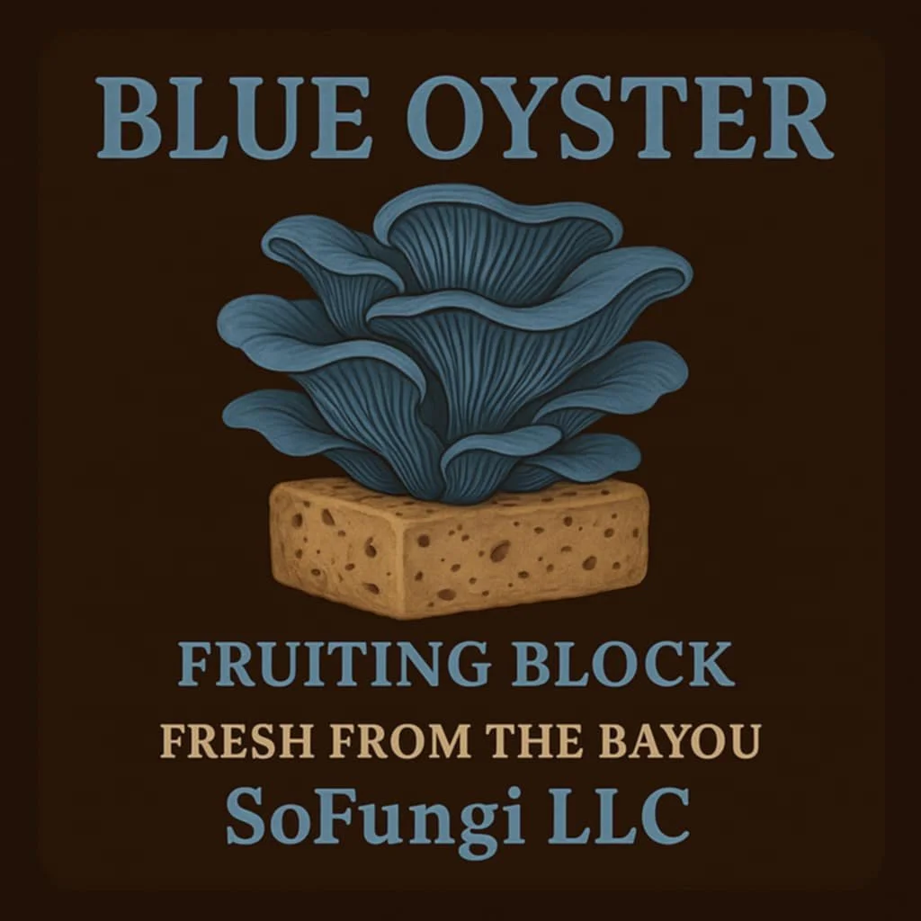 Blue Oyster Fruiting Block