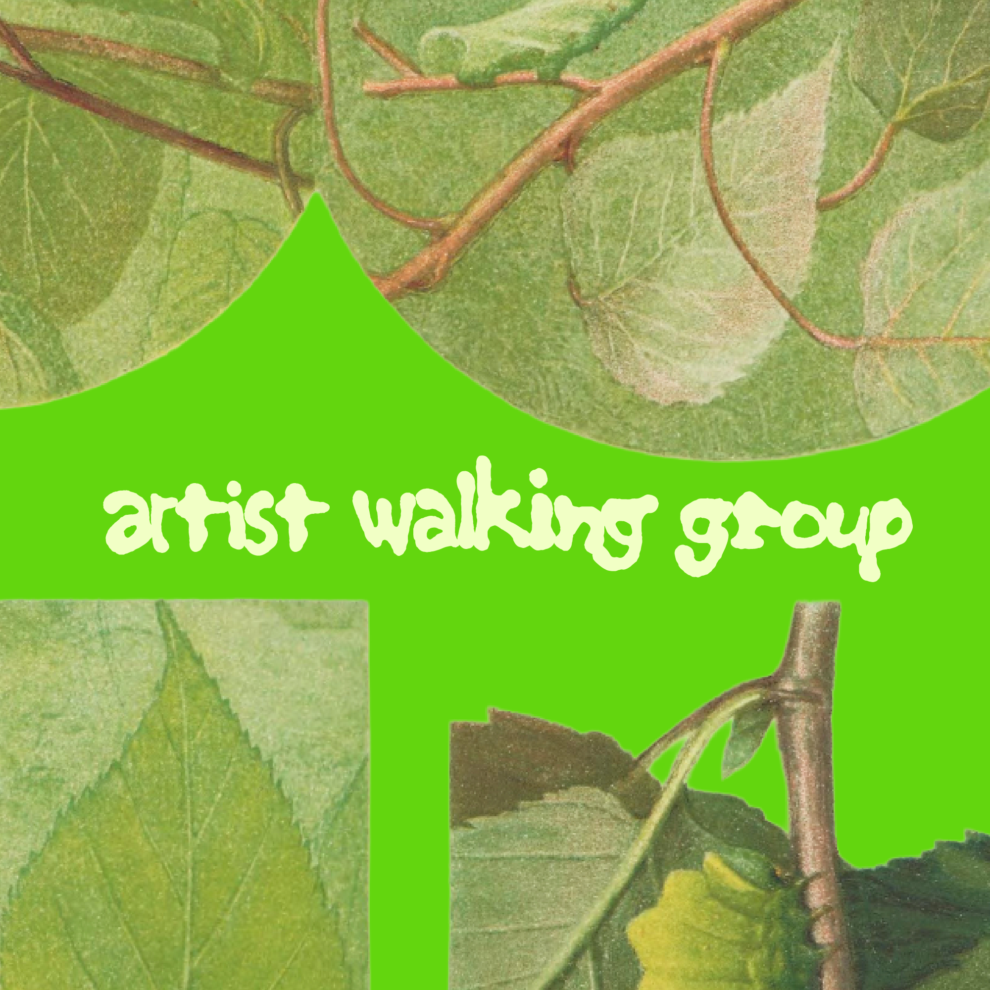 Artist Walking Group