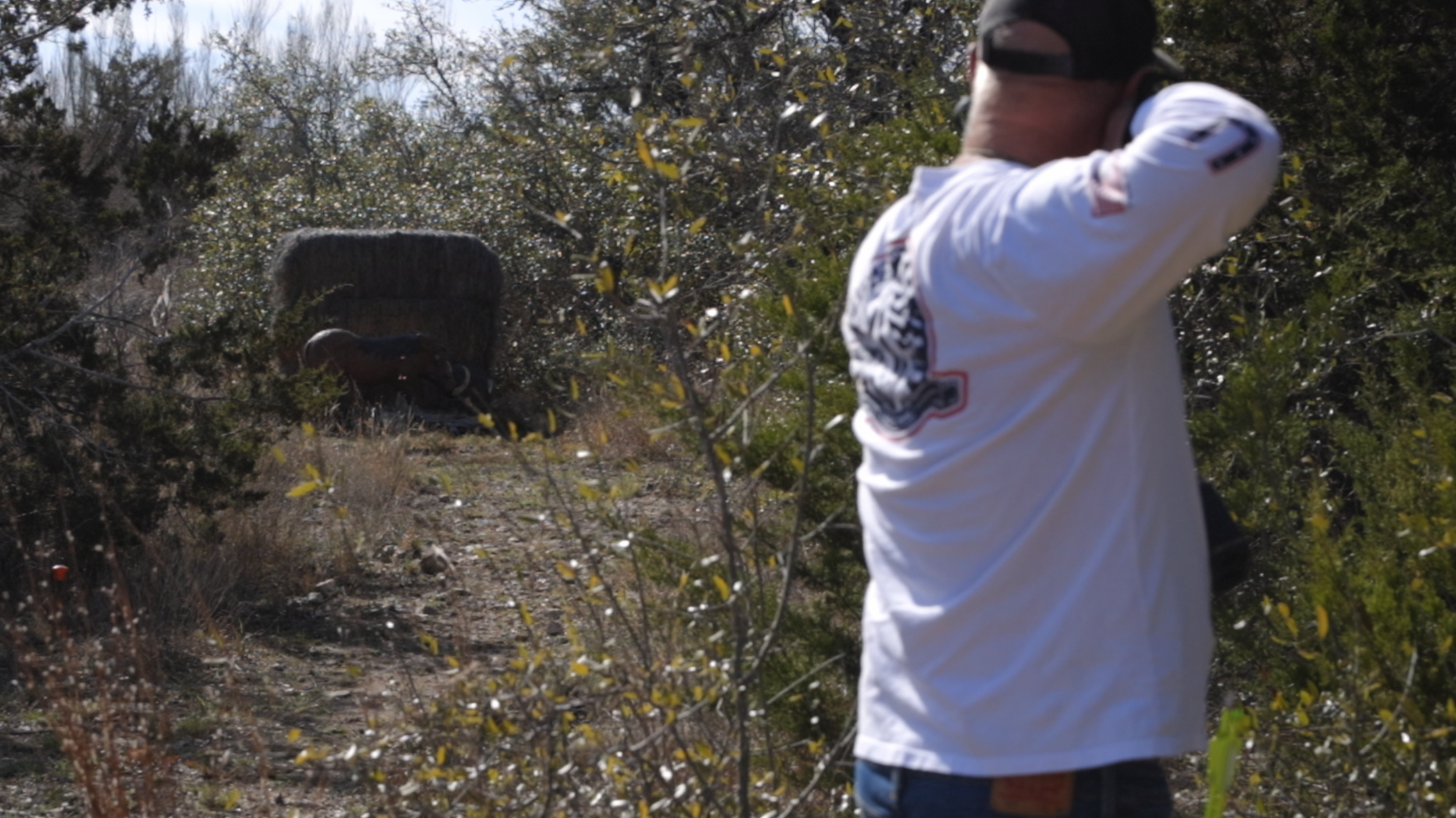 Field Archery Trail 1