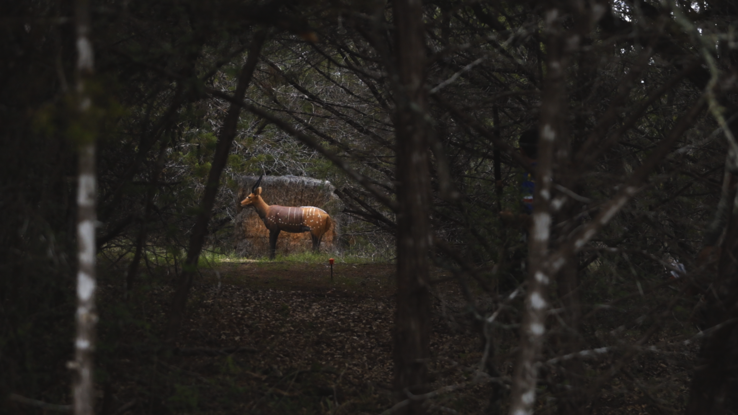 Archery event at Oak Ridge