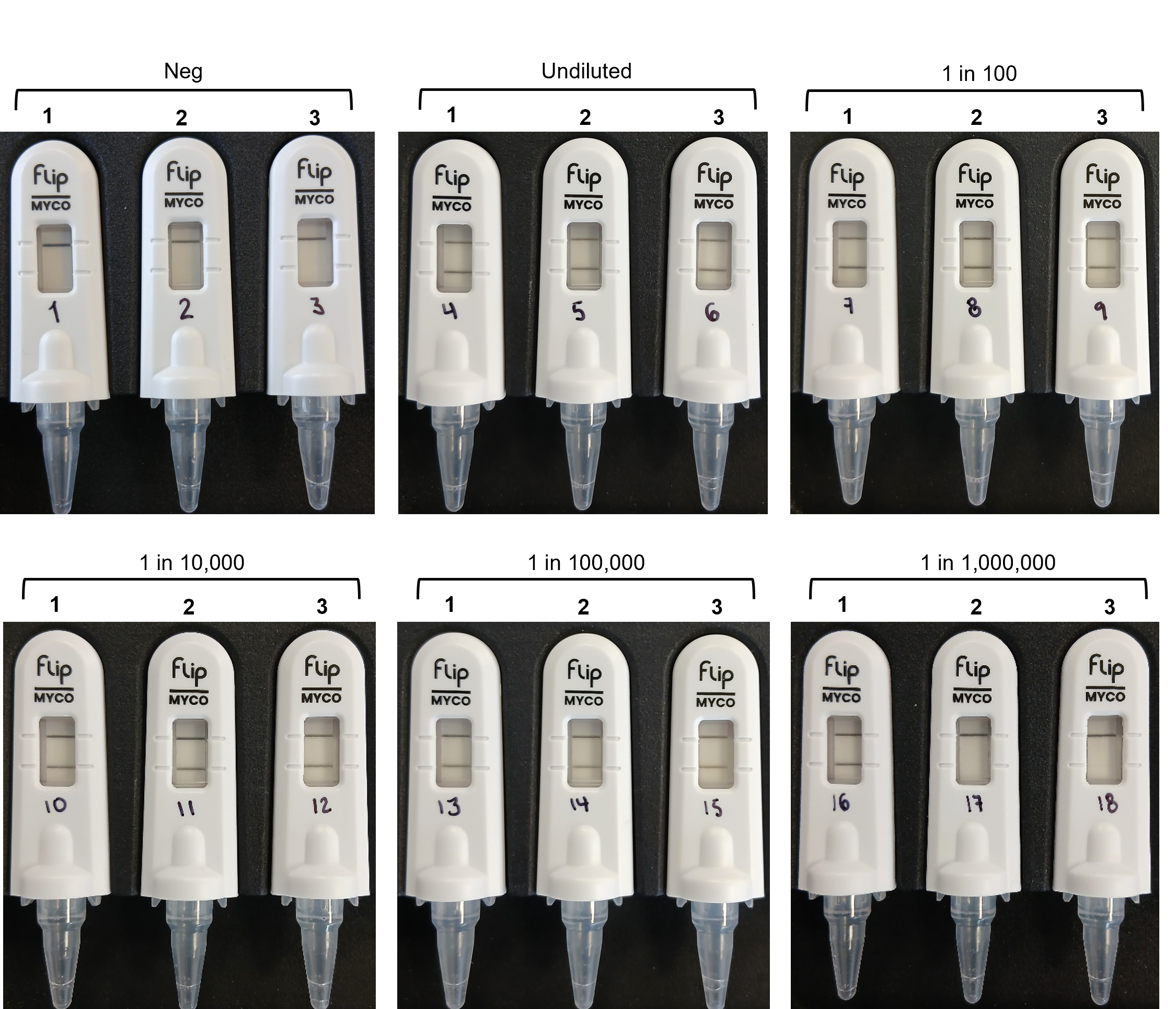 Flip Mycoplasma lateral flow strips: negative and positive controls and a dilution series, each in triplicate