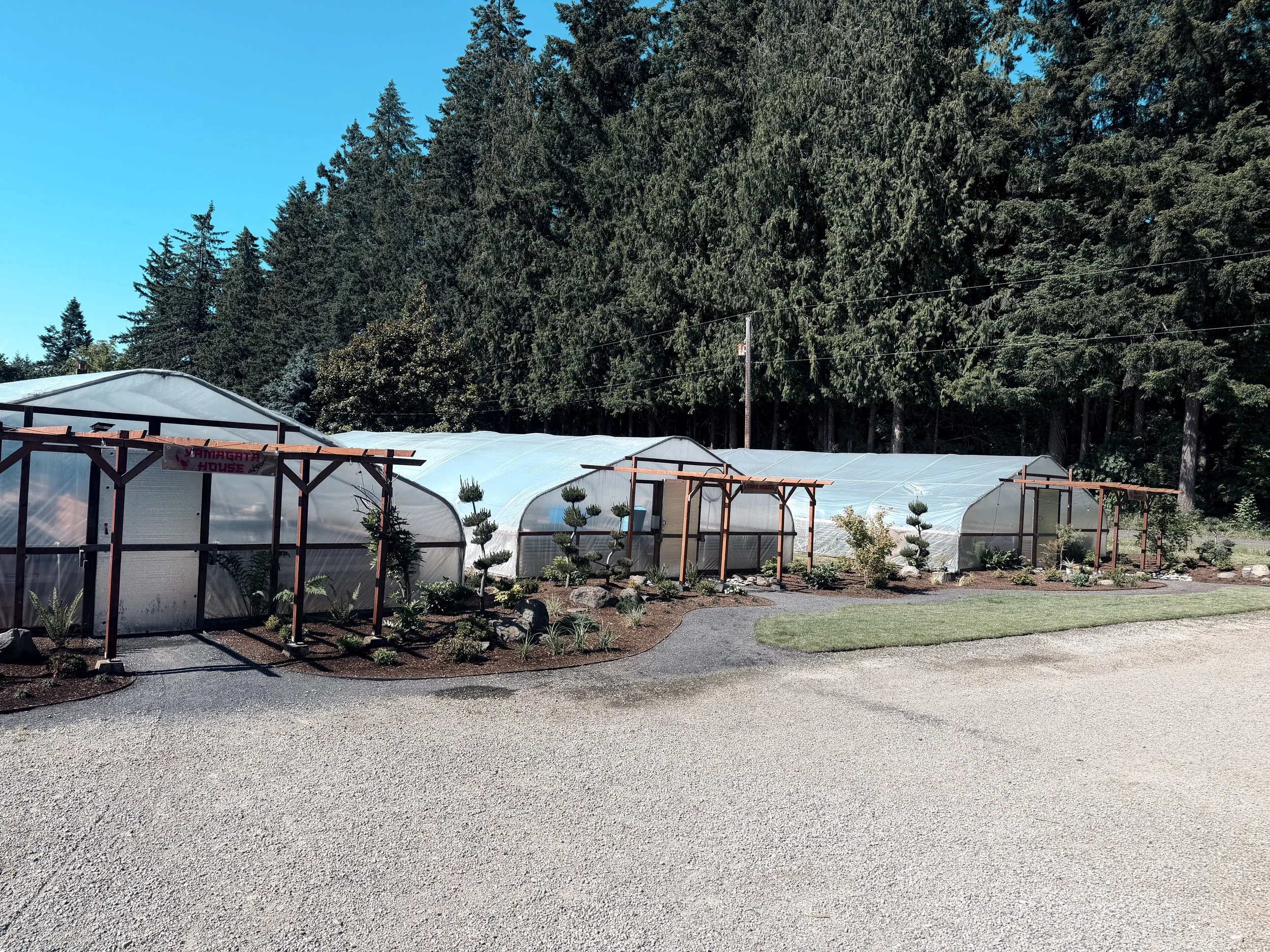The Cots Koi facility pond