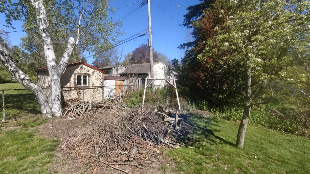 Before backyard restoration: brush pile and overgrown planting areas