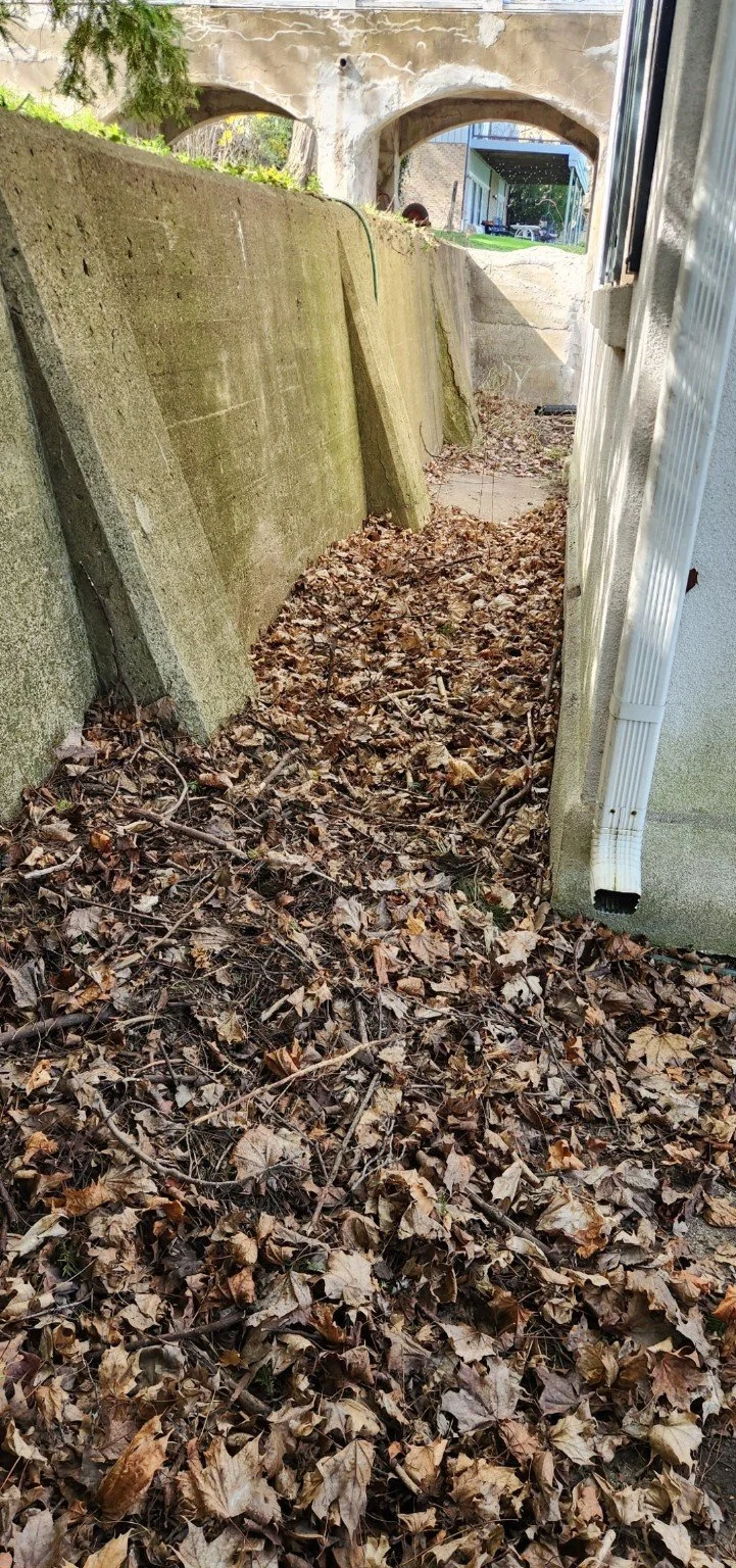 Before GGL cleanup: a narrow passage beside a home covered in accumulated leaves and loose branches