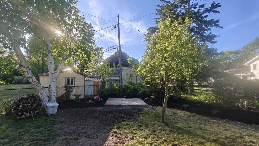 After backyard restoration: defined mulched beds and new planting