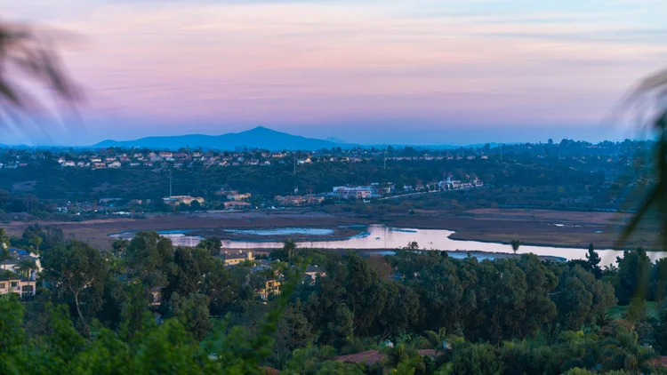 A city and river beyond trees beneath a pink evening sky