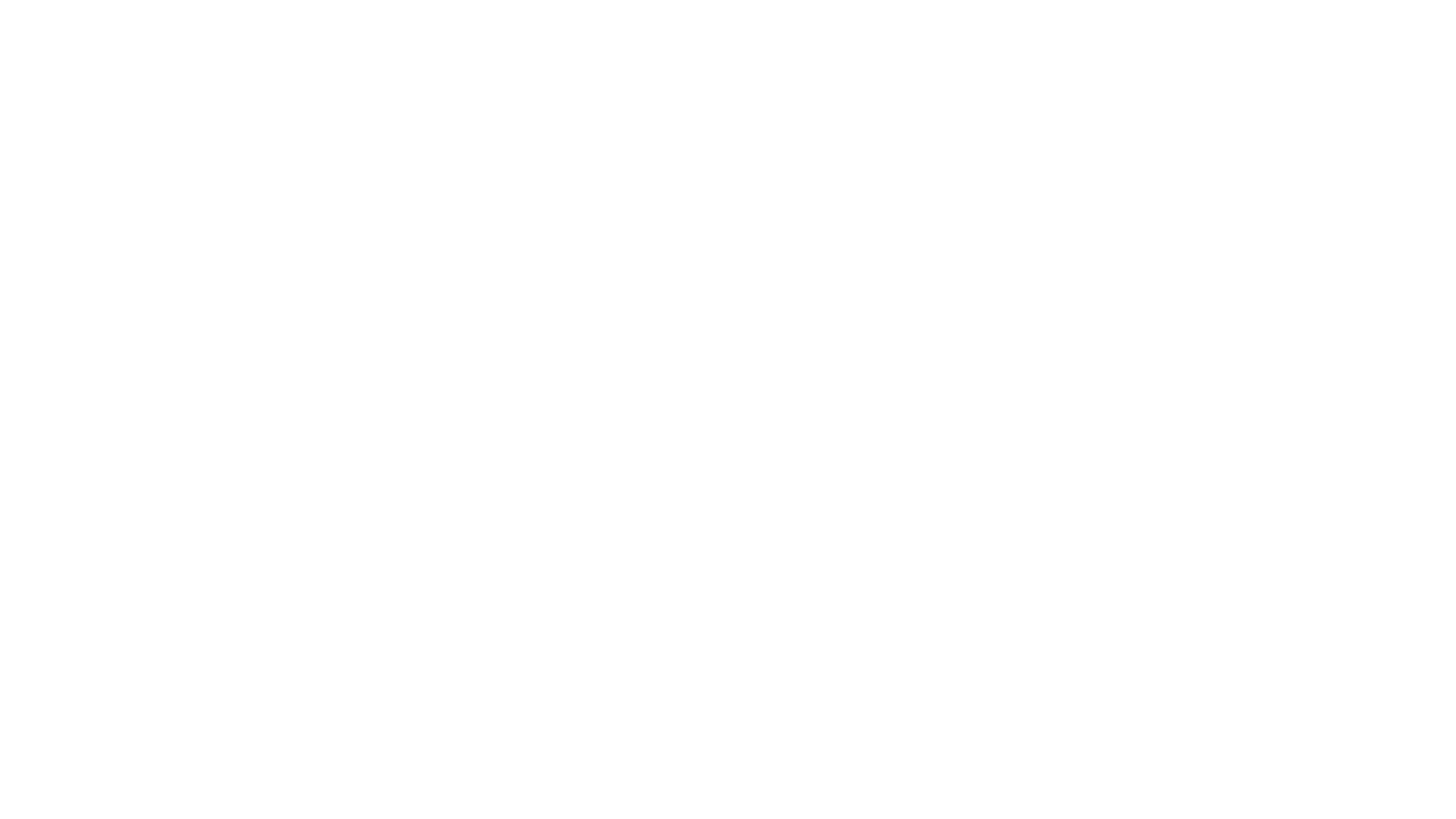 Client 28