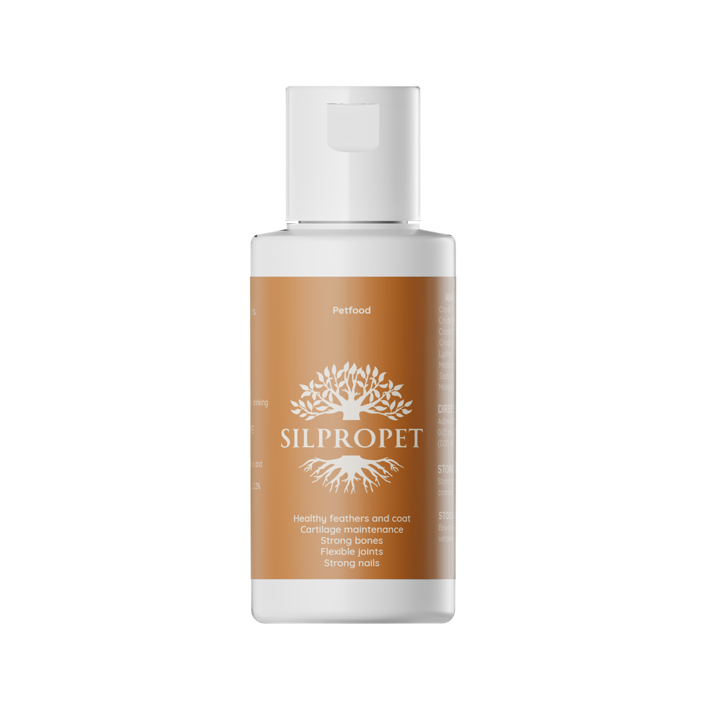 Roam Silicon Vitafoods 2025 - Silpropet visual