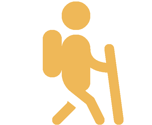 walking icon