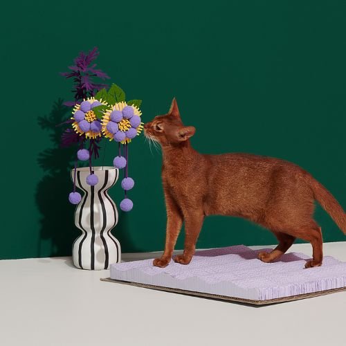 CAT ACCESSORIES
